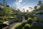Thumbnail for the post titled: Modern concepts for the development of botanical gardens: balancing science, recreation, and ecology